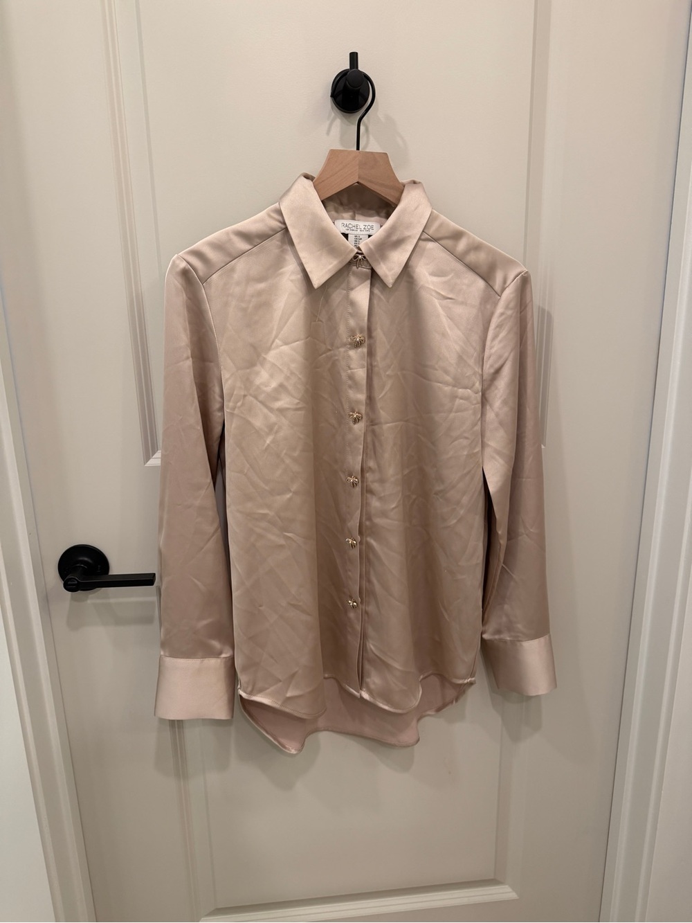 Rachel Zoe Satin Button-Down Shirt in Blush Taupe
